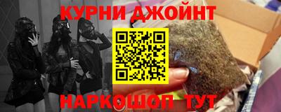 мдпв Гусев