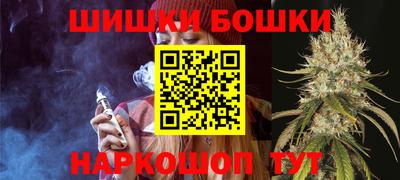 мдпв Гусев
