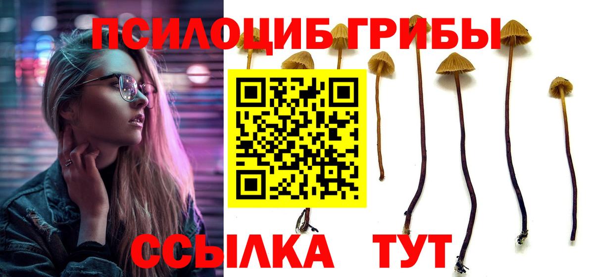 Галлюциногенные грибы прущие грибы Краснознаменск